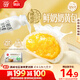 思念x悅鮮活大師精研牛奶奶黃包510g15只 包子饅頭早餐半成品食品早點(diǎn)