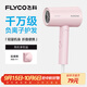 飛科（FLYCO）負離子電吹風(fēng)機家用速干便攜大風(fēng)力冷熱風(fēng)吹風(fēng)筒FH6278
