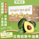 京地達云南哈斯牛油果大果210g*4粒 京東自營(yíng)新鮮水果 源頭直發(fā)包郵