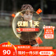 拉比兒童百搭上衣燈芯絨復古長(cháng)袖25秋冬新款寶寶休閑立領(lǐng)襯衣T恤襯衫 咖啡色 120 cm
