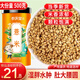 參慶堂麩炒薏米500克 去寒氣貴州小薏米搭紅豆薏米茶炒薏米仁紅豆薏米水