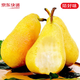 京地達(dá)甘肅太婆梨 香蕉梨放軟吃 凈重4.5斤單果150g+ 源頭直發(fā)包郵