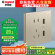 羅格朗（LEGRAND）開關(guān)插座面板 仕典米蘭金大面板五孔帶雙口USB插座
