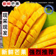 京榴香國產(chǎn)新鮮芒果 新鮮水果生鮮 整箱約3.3-2.7斤/凈含量1180g