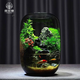 生態(tài)苔蘚微景觀(guān)水培植物瓶創(chuàng  )意擺件禮物小魚(yú)缸diy辦公室桌面客廳 山水間（養魚(yú)款）