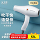 火之鳳吹風(fēng)機理發(fā)店專(zhuān)用 電吹風(fēng)筒 負離子2200W大功率發(fā)廊大風(fēng)力速干家用高速恒溫護發(fā)不傷發(fā)8960 8960象牙白(2200W)