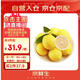 京鮮生 安岳黃檸檬16粒 單果95g-120g 生鮮水果