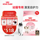 皇家幼貓貓糧 幼貓奶糕 K36 通用糧 4-12月 10KG