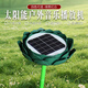 音絮新款蓮花機太陽(yáng)能播放機室外戶(hù)外播放器插卡充電念歌機防雨防雷防凍公園布局綠化裝飾 綠色內置39首