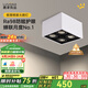 鹿家良品（LUUGAA）斗膽燈明裝射燈全光譜護(hù)眼防?？蛷d無主燈臥室照明餐廳格柵燈 護(hù)眼|4頭|40W|4000K|白黑