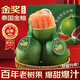 山姆大叔泰國翡翠金柚進(jìn)口紅寶石青皮蜜柚子【多地次日達】新鮮水果整箱 S+級巨無(wú)霸果王【甜度爆表】 2粒裝【較劃算-實(shí)惠嘗鮮】3.5-4斤