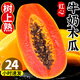正鮮季（ZHENGXIANJI）紅心木瓜牛奶新鮮水果自然熟冰糖心青皮木瓜整箱孕婦水果 2斤 【品質(zhì)中果】美味嘗鮮|試吃實(shí)惠