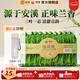 中茶海堤茶葉禮盒鐵觀音清香型小包裝 閩南烏龍茶 【居家自飲】透明盒250g*1盒