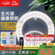 洛林（ROLin）全光譜led燈盤吸頂燈替換燈芯led燈芯替換燈條磁吸燈盤帶遙控48W