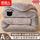 南極人牛奶絨豆豆被冬季被子雙面絨棉被單人加厚保暖10斤冬被芯春秋被芯 八寶熊灰【A面牛奶絨B面豆豆絨】 150x200cm秋冬被【重約4斤】