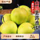 山西玉露香梨新鮮當季水果現(xiàn)摘正宗脆冠蘋果梨整箱紅酥甜青梨包郵 5斤【凈重4.5斤】
