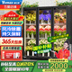 維仕美（Vvmax）商用升級版鮮花保鮮柜展示柜保鮮柜冷藏柜鮮花柜商用冰箱花店鮮花展示柜蛋糕鮮花水果 輕奢-超大三門-無需排水1860*600*2010 2025冠軍推薦豪華款