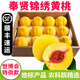 【順豐】 上海奉賢黃桃 光明錦繡黃桃蜜桃香甜多汁 當季時令水果 精品果12個裝【單果5-6兩】 正宗原產(chǎn)區(qū)