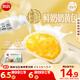 思念x悅鮮活大師精研牛奶奶黃包510g15只 包子饅頭早餐半成品食品早點(diǎn)