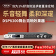 麥樂(lè )迪DSP6300卡拉ok混響器 數字音頻前級效果器 家庭影院防嘯叫調音臺處理器含話(huà)筒 調音臺均衡器 DSP6300藍牙升級版(含線(xiàn)) 標準版