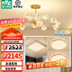 雷士（NVC）北歐現(xiàn)代輕奢智能網(wǎng)紅led螢光客廳吊燈餐廳吊燈中山燈具燈飾套餐 螢光 15頭智能吊燈 【三室一廳】
