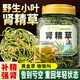 草木方 腎精草100g  嗷嗷叫腎精草 長(zhǎng)白山野生腎精茶黃金草嗷嗷叫養(yǎng)生茶