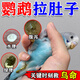 ANIMALOG鸚鵡鳥(niǎo)專(zhuān)用藥玄鳳虎皮牡丹腸炎拉稀腹瀉綠便感冒痢疾飼料常備 一盒裝