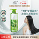 章華牛油果損傷修護洗發(fā)水（免蒸改善毛躁修護洗發(fā)乳亮澤飄逸洗發(fā)露) 500ml牛油果洗發(fā)水