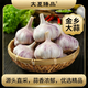 大夏臻品正宗山東金鄉紫白皮大蒜頭新鮮干蒜批發(fā)精選特大農家自種 產(chǎn)地直采(精品特大果5cm-6cm)凈重1斤