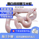 CSF-SH寵物蛇玉米蛇無(wú)毒可上手活體寵物玉米蛇幼崽蛇苗異寵爬寵活物蛇苗 雪白甜甜圈 公