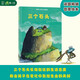 三個(gè)石頭 三個(gè)石頭的松弛感，幫助孩子在成長(cháng)中培養穩定的心理內核和強大的心理韌性 兒童心理自助
