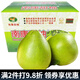 迭果南康甜柚龍回早熟柚江西贛州特產(chǎn)齋婆柚新鮮水果贛南沙田柚子 早熟柚 9斤帶箱大果