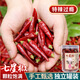 愛蜀味超辣七星椒90g 罐裝四川朝天椒 川菜干辣椒面原料 川菜小米辣