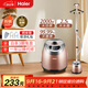海爾（Haier）掛燙機家用2.5L大功率熨燙機手持立式蒸汽衣物護理機服裝店高溫殺菌燙衣機電熨斗HGS-2510B