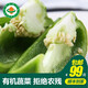 小湯山 有機(jī)青圓椒 約300g 有機(jī)蔬菜當(dāng)天采摘北京農(nóng)場(chǎng)順豐到家