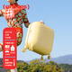 artrips行李箱泡泡款拉桿箱女20英寸登機高顏值低音萬(wàn)向輪旅行箱 暖陽(yáng)黃