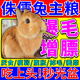 家兔子飼料侏儒兔糧瘦蔫弱毛稀疏長(zhǎng)肉發(fā)亮Q版成幼兔磨牙營(yíng)養(yǎng)主食 【單袋裝】500g