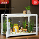 憨憨寵魚(yú)缸懶人魚(yú)缸過(guò)濾免換水生態(tài)一體缸塑料家用客廳辦公室桌面金魚(yú)缸 米白色基礎套餐（31*21*20cm）