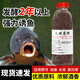 瓦斯特窩料秋冬野釣鯽魚(yú)鯉魚(yú)酒米黑坑小藥誘魚(yú)底窩久壇發(fā)酵打窩料 久壇窩料-1瓶 快速發(fā)窩丨專(zhuān)攻鯽鯉
