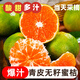 云南早熟青皮橘子酸甜新鮮蜜橘孕婦水果薄皮無籽桔子包郵蜜桔 5斤【嘗鮮試吃】凈重4.5-5斤
