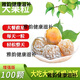 北京同仁堂酵素青梅增強版酵素梅子排宿便秘隨便果零食水果脆青梅四季果凈排 增強版大果【100個(gè)】每天一顆- 嗯嗯順暢