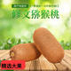 貴州修文獼猴桃新鮮水果奇異果當季9斤整箱 9斤修文貴長(cháng)獼猴桃 70g-100g大果