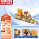 潛水艇（Submarine）RB1/2F-1/3F燃?xì)庾蚤]閥家用天然氣管道閥門四分內(nèi)絲+寶塔尖嘴口