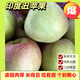 暖欣果（NUANXINGUO）東北正宗老樹(shù)印度青蘋(píng)果純甜哏無(wú)酸丑蘋(píng)果新鮮禮盒生鮮時(shí)令水果 5斤中果(單果70-75mm)