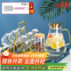 青蘋(píng)果耐熱玻璃冷水壺茶壺11件套 涼水壺水杯杯架托盤(pán)杯刷茶葉罐