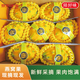 京地達(dá)燕窩果 麒麟果 精品禮盒裝 凈重4斤單果250g+源頭直發(fā)包郵