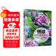 繡球12月栽培筆記