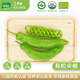 有機匯有機尖椒 微辣長(cháng)辣椒 有機蔬菜無(wú)農殘 基地自種 當天新鮮采摘 500g
