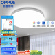 歐普（OPPLE） LED 過(guò)道吸頂燈具臥室陽(yáng)臺(tái)燈玄關(guān)燈飾 現(xiàn)代簡(jiǎn)約YT 升級(jí)呵護(hù)光【全白-小臥室燈】