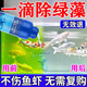 瘋狂石頭魚(yú)缸除藻劑去苔劑綠藻青苔清除神器去除黑毛藻綠水除藻藥抑制水藻 3瓶【藍藻一滴凈】